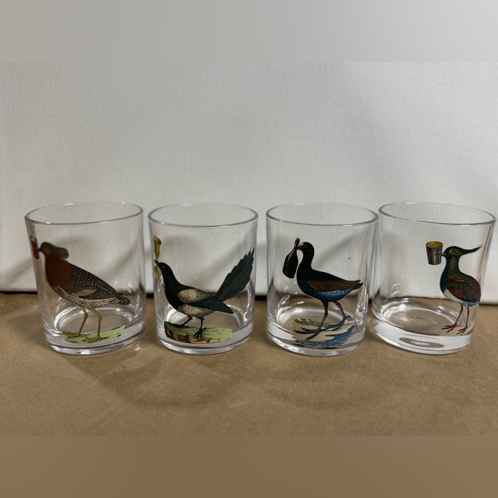 9 ounce Bird Cocktail Glasses by JOHN DERIAN